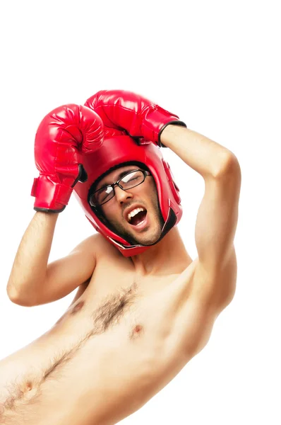 Funny boxer izolované na bílém — Stock fotografie