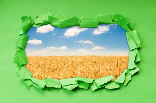 Campo de trigo a través del agujero en el papel —  Fotos de Stock