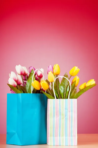 Tulips in the bag against gradient background — Stock Photo, Image