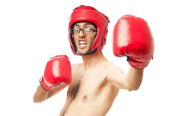 Funny boxer izolované na bílém — Stock fotografie