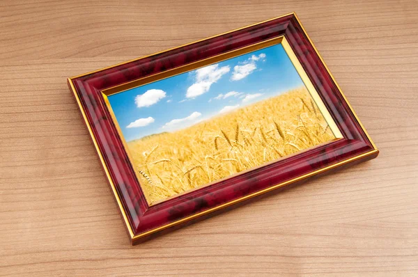 Pšeničné pole v rámečku obrázku — Stock fotografie