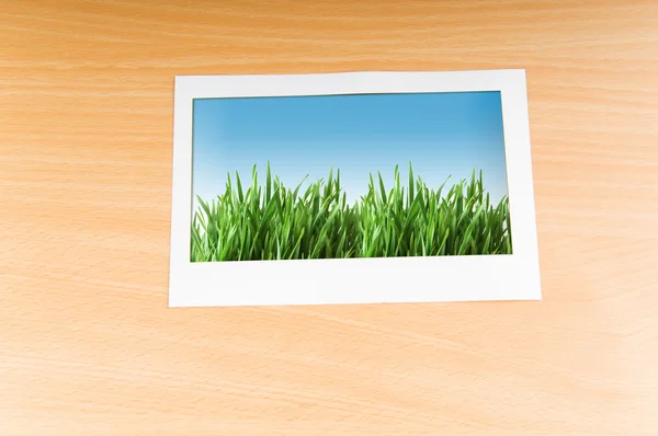 Zöld fű a fénykép test — Stock Fotó