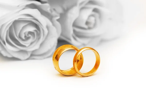 Svatební koncept s růží a prstýnky — Stock fotografie
