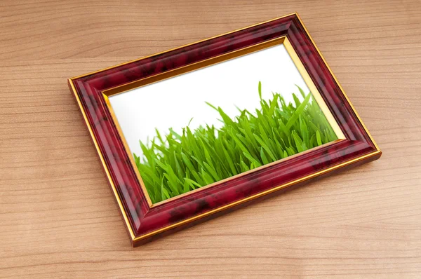Hierba verde en el marco de fotos —  Fotos de Stock