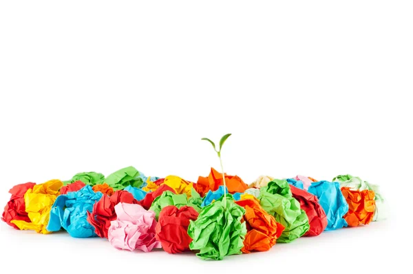 Papier-Recycling-Konzept mit Setzlingen auf Weiß — Stockfoto