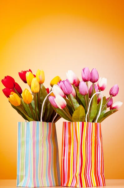 Tulipaner i posen mot helningsbakgrunn – stockfoto