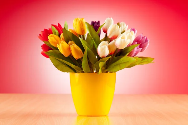 Tulpen bloemen op achtergrond met kleurovergang — Stockfoto