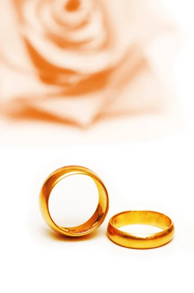 Svatební koncept s růží a prstýnky Stock Snímky
