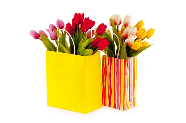 Tulipanes en la bolsa aislados en blanco — Foto de Stock