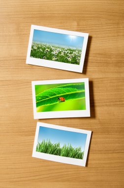 Resim çerçevelerindeki doğa fotoğrafları