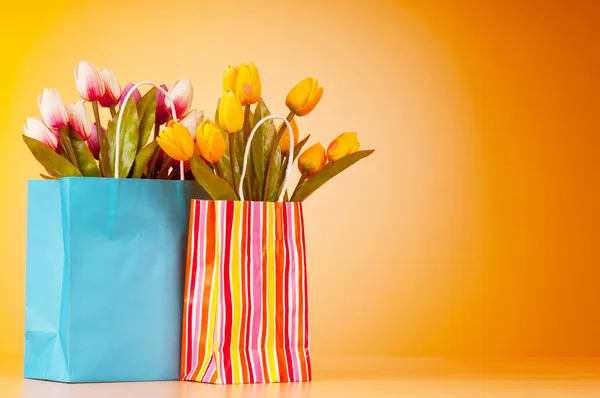 Tulipany w worek przeciw tło gradientowe — Zdjęcie stockowe