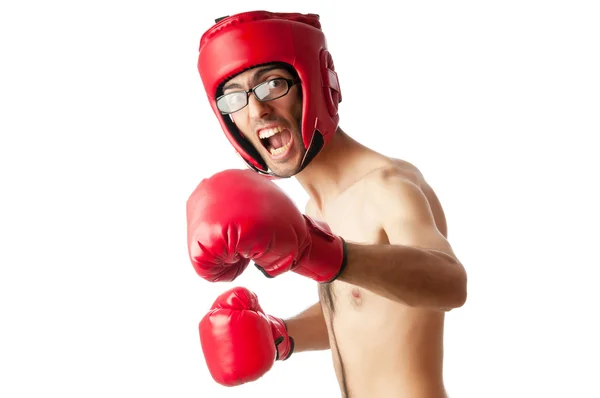 Boxer engraçado isolado em branco — Fotografia de Stock