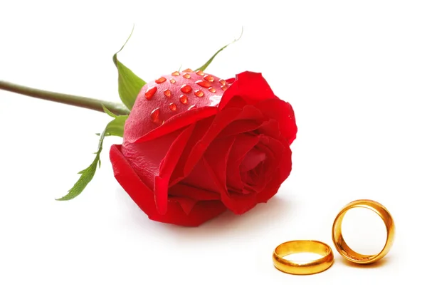 玫瑰和戒指的婚礼概念 — 图库照片