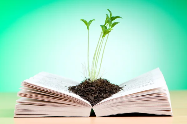 Seedlings growing from book in knowledge concept — Stock Photo, Image