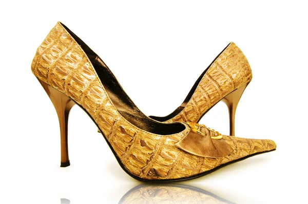 Elegant shiny shoes on the white — Stock Photo, Image