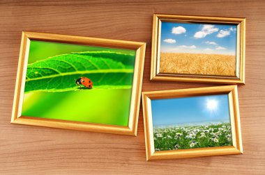 Nature photos in picture frames clipart