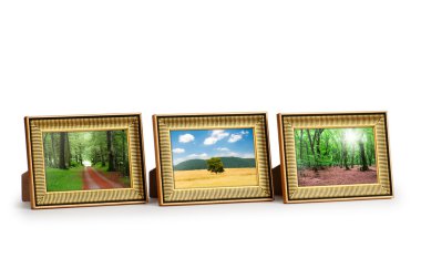 Doğa fotoğraflarıyla çerçeveler