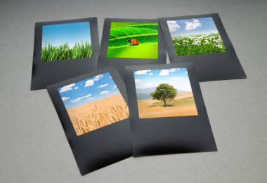 Resim çerçevelerindeki doğa fotoğrafları