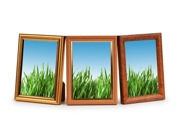 Zelené trávě v obrazové rámy — Stock fotografie