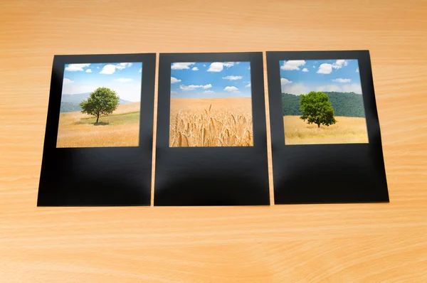 stock image Picture frames with nature photos