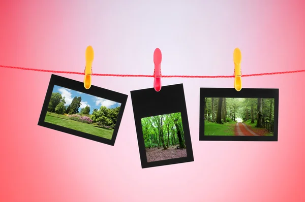 stock image Picture frames with nature photos