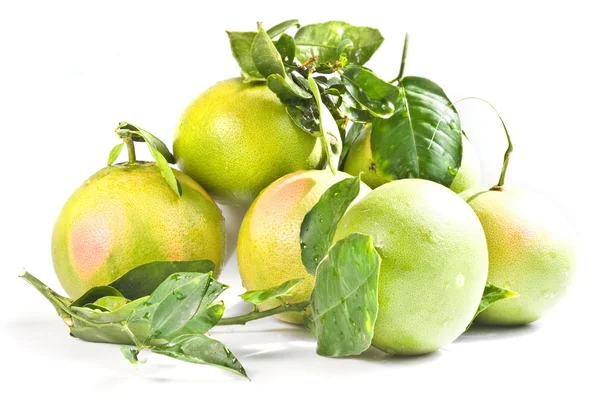 Pomelos maduros y en maduración —  Fotos de Stock