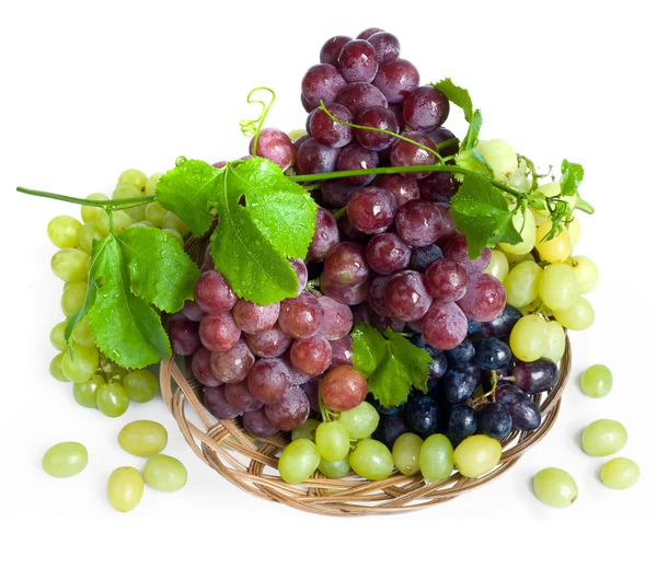 Изолированный зеленый, черный и красный виноград с листьями — стоковое фото