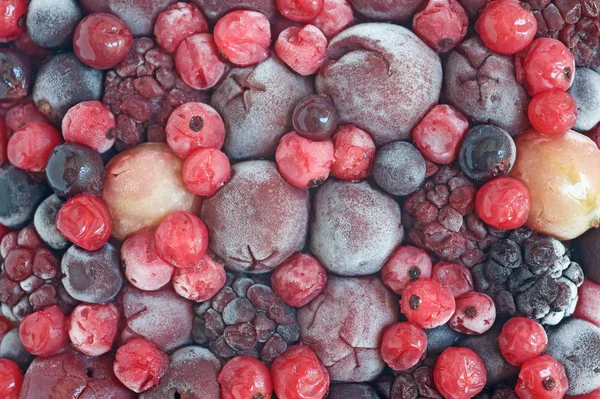 Fryst frukt — Stockfoto