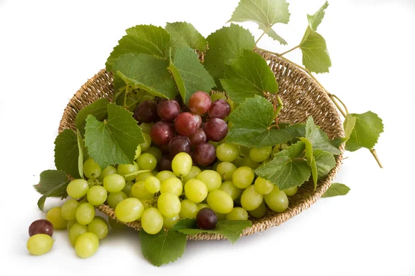 Isolierte grüne und rote Trauben mit Blättern — Stockfoto