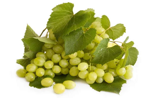 Stock image Isolated green grape with leaves