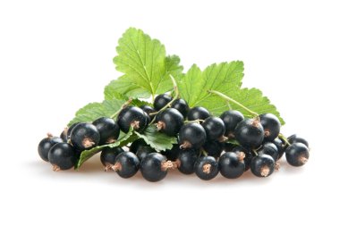 Blackcurrant clipart