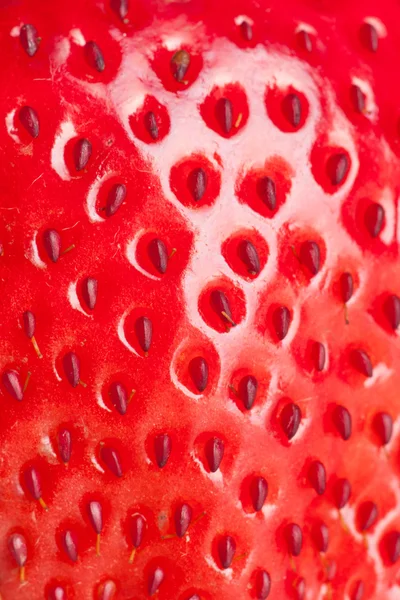 Makro-Erdbeere — Stockfoto