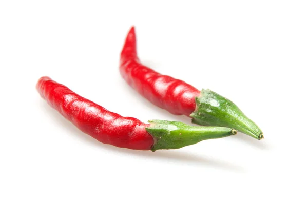 Rödhett chilli peppar — Stockfoto