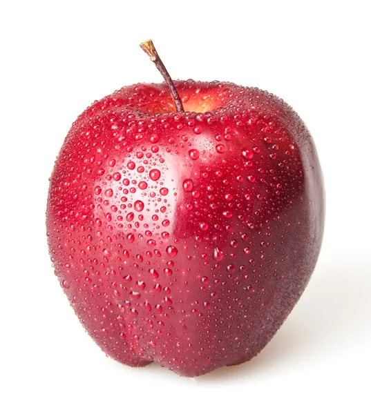 Manzana roja —  Fotos de Stock