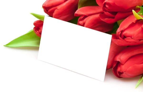 stock image Bouquet of red tulips