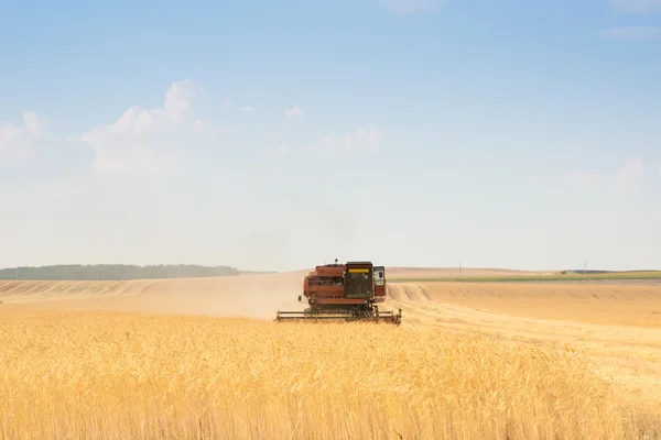Graan harvester combineren — Stockfoto
