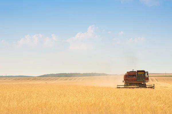 穀物の農業のコンバイン — ストック写真