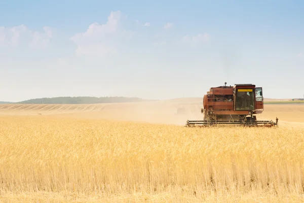Grain harvester combine — Stock Photo, Image