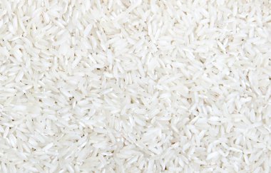 Rice clipart