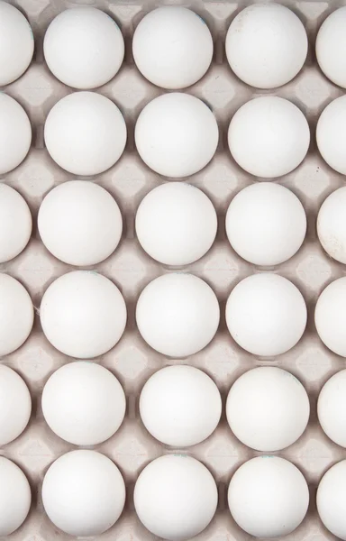 卵 — ストック写真