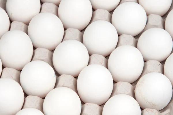 stock image Eggs