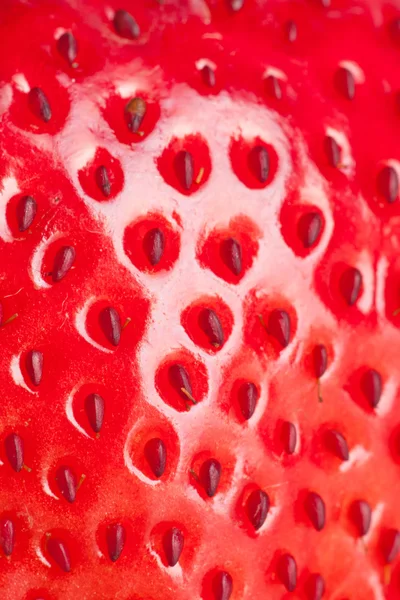 매크로 딸기 — 스톡 사진