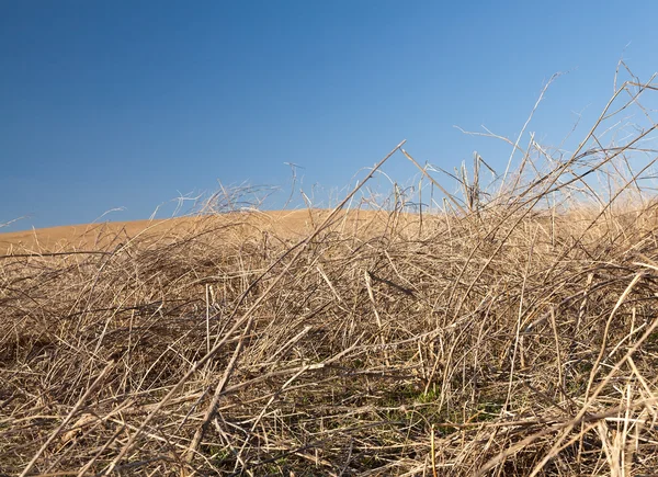Haystack en el prado en el día soleado —  Fotos de Stock