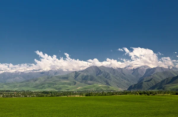 Panoramic mountain landscape with a green field in the foregrou — Stock Photo, Image