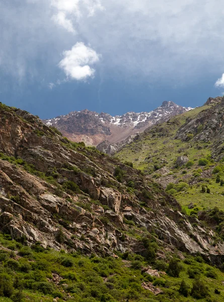 Vertikale Landschaftsberge. Belagorka-Schlucht, Kyrgyzstan — Stockfoto