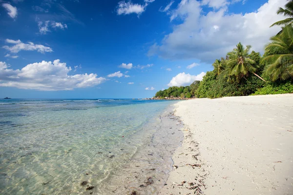 Ohromující tropické pláže na Seychely — Stock fotografie