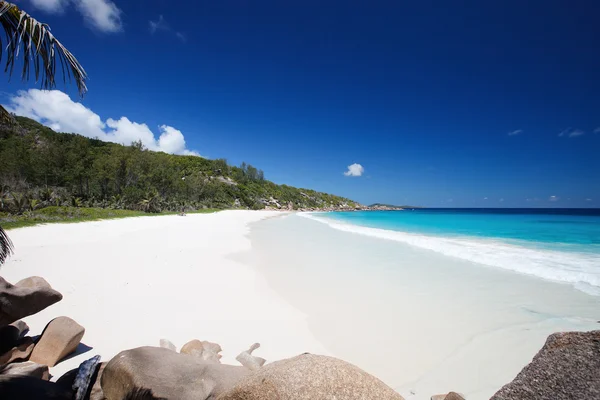 Prachtig tropisch strand op de Seychellen — Stockfoto