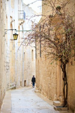 Mdina street clipart