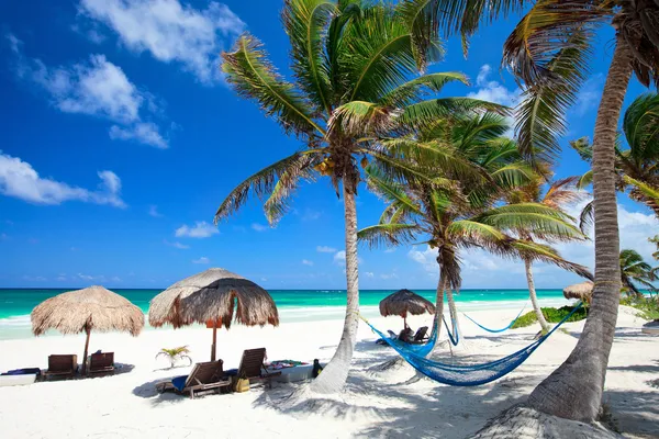 ᐈ Playa caribe foto de stock, fotos playas del caribe | descargar en  Depositphotos®