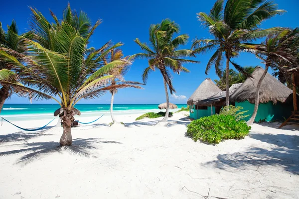 Όμορφη παραλία της Καραϊβικής — Φωτογραφία Αρχείου